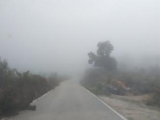 Φωτογραφία για Το Βελανιδοδάσος Ξηρομέρου «πνιγμένο» από την ομίχλη (ΦΩΤΟ)