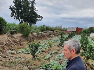 Φωτογραφία για Ο Κώστας Καραγκούνης στις πληγείσες περιοχές του Μεσολογγίου και του Αιτωλικού.