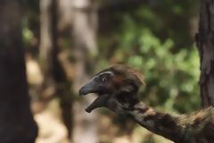 Θα μπορούσε τo Jurassic Park πραγματικά να συμβεί;