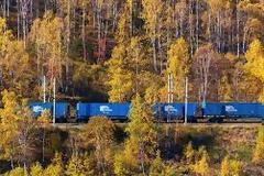Η TransContainer λανσάρει τρένο της Άπω Ανατολής που σπάει ρεκόρ και θα διανύσει έντεκα χιλιάδες χιλιόμετρα.