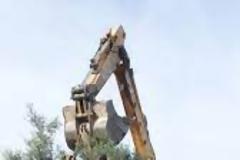 Ο Δήμος Νέας Φιλαδέλφειας «υποδέχεται» αιωνόβιες ελιές.