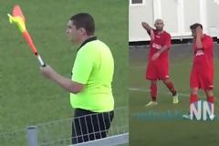 Κουνούπια...τρέλαναν παίκτες και διαιτητές!