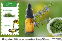 Πως κάνω λάδι με το μυρωδάτο δεντρολίβανο.