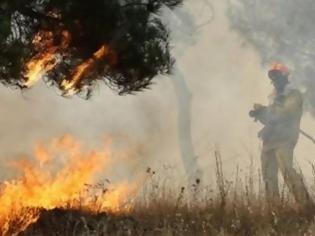 Φωτογραφία για Υπό μερικό έλεγχο η φωτιά στην Επίδαυρο