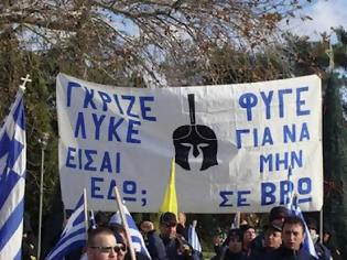 Φωτογραφία για Γκρίζοι λύκοι στη Θράκη