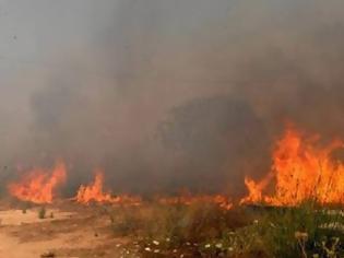 Φωτογραφία για Πυρκαγιά στο Αιάντειο Σαλαμίνας