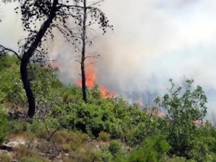 Φωτογραφία για Πολύ υψηλός κίνδυνος πυρκαγιάς σήμερα!