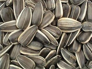 Φωτογραφία για Ηλιόσποροι: Το ιδανικό σνακ!