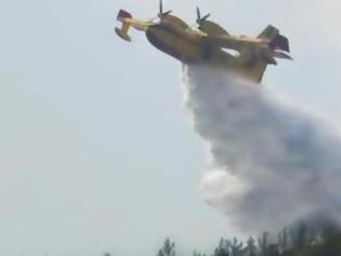 Φωτογραφία για Πυρκαγιά στη Μάνη