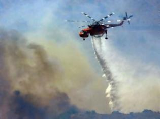 Φωτογραφία για Εκτίμηση και δίκαια αποζημίωση των πληγέντων παραγωγών από τις πρόσφατες πυρκαγιές