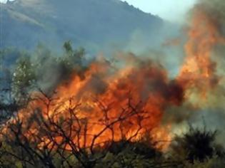 Φωτογραφία για ΠΟΛΥ ΥΨΗΛΟΣ ΚΙΝΔΥΝΟΣ ΓΙΑ ΠΥΡΚΑΓΙΑ ΣΗΜΕΡΑ ΣΕ ΑΤΤΙΚΗ ΚΑΙ ΕΥΒΟΙΑ