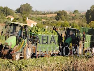 Φωτογραφία για Εκατοντάδες νταλίκες στην Ηλεία για να φορτώσουν καρπούζι. Μεγάλη ζήτηση