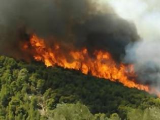 Φωτογραφία για Φθιώτιδα: Καίγεται πευκοδάσος στη Λοκρίδα...