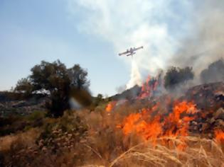 Φωτογραφία για ΠΥΡΚΑΓΙΕΣ ΣΕ ΜΑΝΗ, ΦΘΙΩΤΙΔΑ ΚΑΙ ΣΤΗΝ ΑΧΑΪΑ