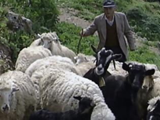 Φωτογραφία για Ο βοσκός και τα πρόβατα