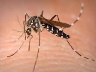 Φωτογραφία για Αναγνώστη αναφέρει πως δεν έγινε κανένας ψεκασμός για τα κουνούπια στον Βόρειο Έβρο