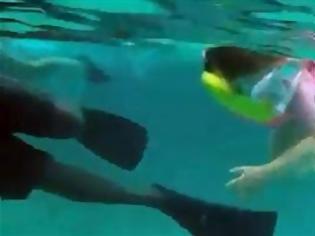 Φωτογραφία για Έβαλαν την 5χρονη κόρη τους να κολυμπήσει με καρχαρίες(video)