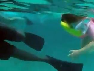 Φωτογραφία για Απίστευτο: Έβαλαν την 5χρονη κόρη τους να κολυμπήσει με… καρχαρίες [Video]