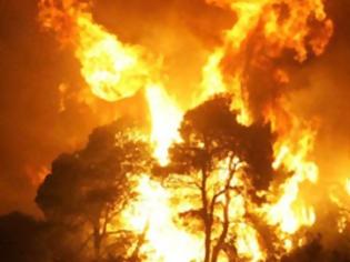 Φωτογραφία για ΠΡΙΝ ΛΙΓΟ: Σε εξέλιξη η κατάσβεση πυρκαγιάς στην Ιστιαία Ευβοίας