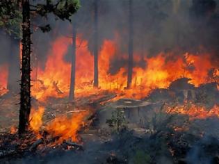 Φωτογραφία για Εύβοια: Σε εξέλιξη η πυρκαγιά στην Ιστιαία - 500 στρέμματα έγιναν στάχτη