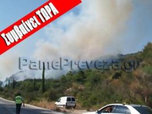 Φωτογραφία για Πρέβεζα: Μεγάλη φωτιά στον Βράχο-Συνεχής ενημέρωση
