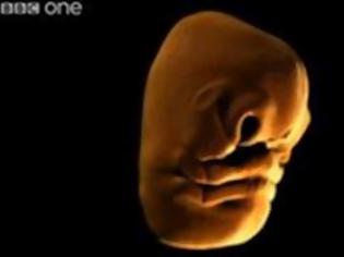 Φωτογραφία για Εκπληκτικό Βίντεο: Πως σχηματίζεται το πρόσωπο ενός εμβρύου