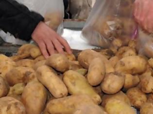 Φωτογραφία για Πέντε τόνοι βιολογικής πατάτας σε απόρους και σε ιδρύματα