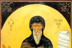 Ο Όσιος Πατάπιος ο Αιγύπτιος,  προστάτης των καρκινοπαθών και των υδρωπικών