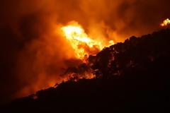 Αυστραλία: Δασικές πυρκαγιές στα δυτικά, πλημμύρες στα ανατολικά