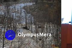 Τραγωδία στην Πιερία: Νεκρή 55χρονη παιδίατρος, το ΙΧ της παρασύρθηκε από χείμαρρο