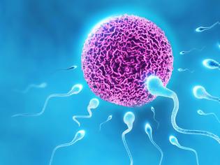 Φωτογραφία για Η ποιότητα του σπέρματος χειροτερεύει μετά την νόσηση από κορονοϊό; Βελγική έρευνα