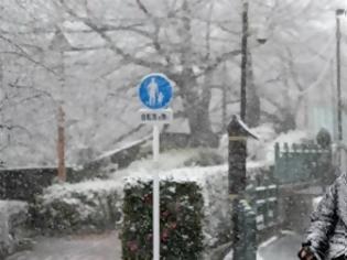 Φωτογραφία για Τόκιο: Πρωτοφανείς χιονοπτώσεις “παρέλυσαν” την πρωτεύουσα της Ιαπωνίας-Ματαιώθηκαν πτήσεις-Καθυστερήσεις  σε ορισμένα δρομολόγια του προαστιακού.