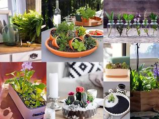 Φωτογραφία για Εύκολοι τρόποι για να δημιουργήσετε έναν mini επιτραπέζιο ... Κήπο