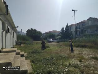 Φωτογραφία για Δράσεις ευπρεπισμού στη Κοινότητα Μύτικα.