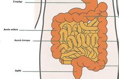 ΠΦΣ: Επείγουσα ενημέρωση σχετικά με τα test για τον καρκίνο του παχέος εντέρου