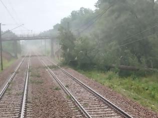 Φωτογραφία για Το TGV χτυπά δέντρο σε ράγες μεταξύ Παρισιού και Λυών.