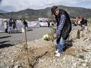 Φωτογραφία για Τεμπη: Οργισμένοι οι συγγενείς για την αποφυλάκιση του σταθμάρχη