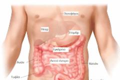 ΠΦΣ: Δράση Πρόληψης για τον Καρκίνο του Παχέος Εντέρου - Η Συμμετοχή των Φαρμακείων