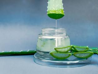 Φωτογραφία για Aloe Vera: Το φυτό της αθανασίας έχει και παρενέργειες; Επιστημονική ανασκόπηση