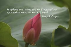 όταν με ρώτησαν θυμήθηκα πως ο Deepak Chopra μας έχει πει...