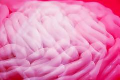 Η απίστευτη βραδύτητα της ανθρώπινης σκέψης