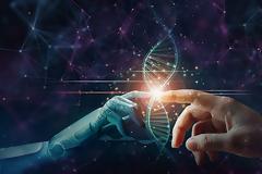 Ο ήχος, η συνείδησή μας, ο εγκέφαλός μας και το σύμπαν