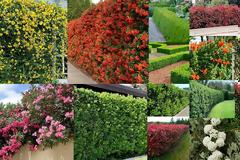 New Year's Bazaar στο VINTAGE LOVE