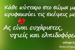Πως ετοιμάζω ισχυρό αναλγητικό μείγμα λαδιών για το κρυολόγημα