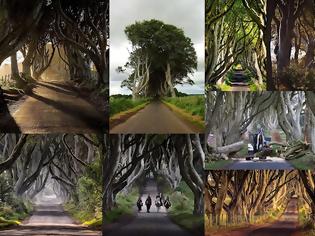 Φωτογραφία για Dark Hedges. Ένα από τα πιο πολυφωτογραφημένα φυσικά τοπία