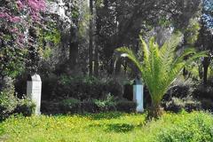 ΠΑΠΑΣΤΡΑΤΕΙΟ ΔΗΜΟΤΙΚΟ ΠΑΡΚΟ ΑΓΡΙΝΙΟΥ Ένα σημαντικό τοπόσημο της πόλης… Γράφει η Μαρία Ν. Αγγέλη