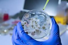 Πώς δημιουργείται ο καρκίνος, πώς εξαπλώνεται και τι μπορούμε να κάνουμε για να τον αποφύγουμε