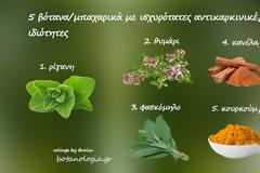 Πέντε βότανα/μπαχαρικά με ισχυρότατες αντικαρκινικές ιδιότητες