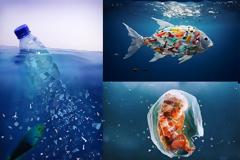 Μικροπλαστικά. Από τα σκουπίδια μας στο πιάτο μας