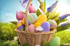 Γλώσσα Ε΄ τάξης: Ενότητα 14 